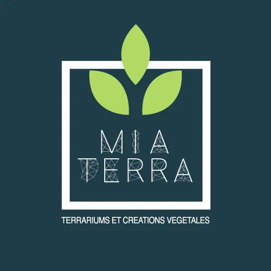Kit Terrarium