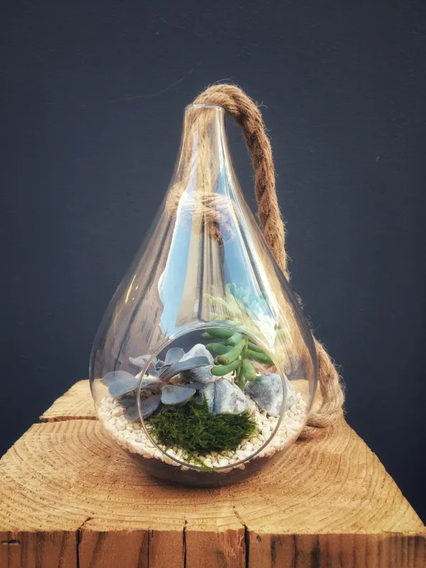 AUSSIE Terrarium suspension ouvert taille S - 39€