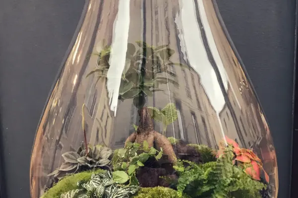 MANLY Terrarium tropical fermé taille XXL - 169€