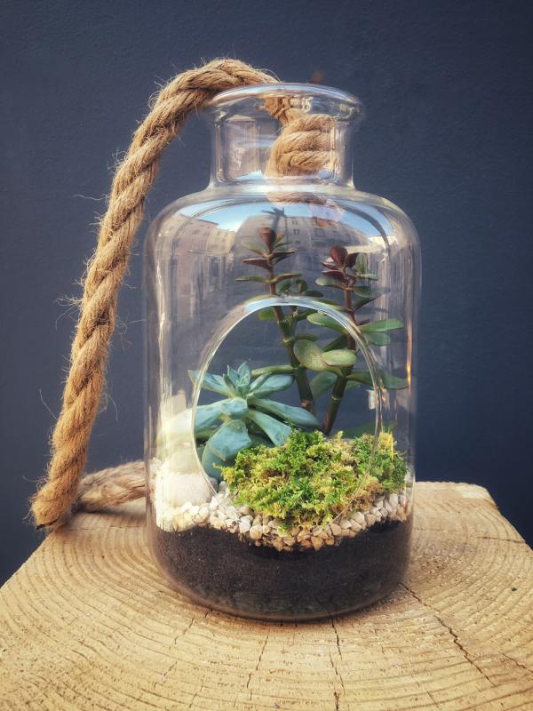 NOOSA Terrarium suspension ouvert taille S - 39€