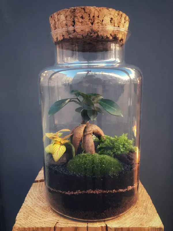 ULURU Terrarium tropical fermé taille L - 69€